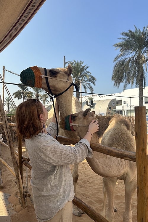 camels