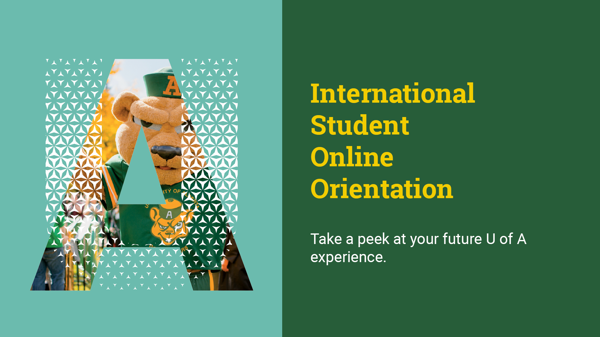 Orientation Hero