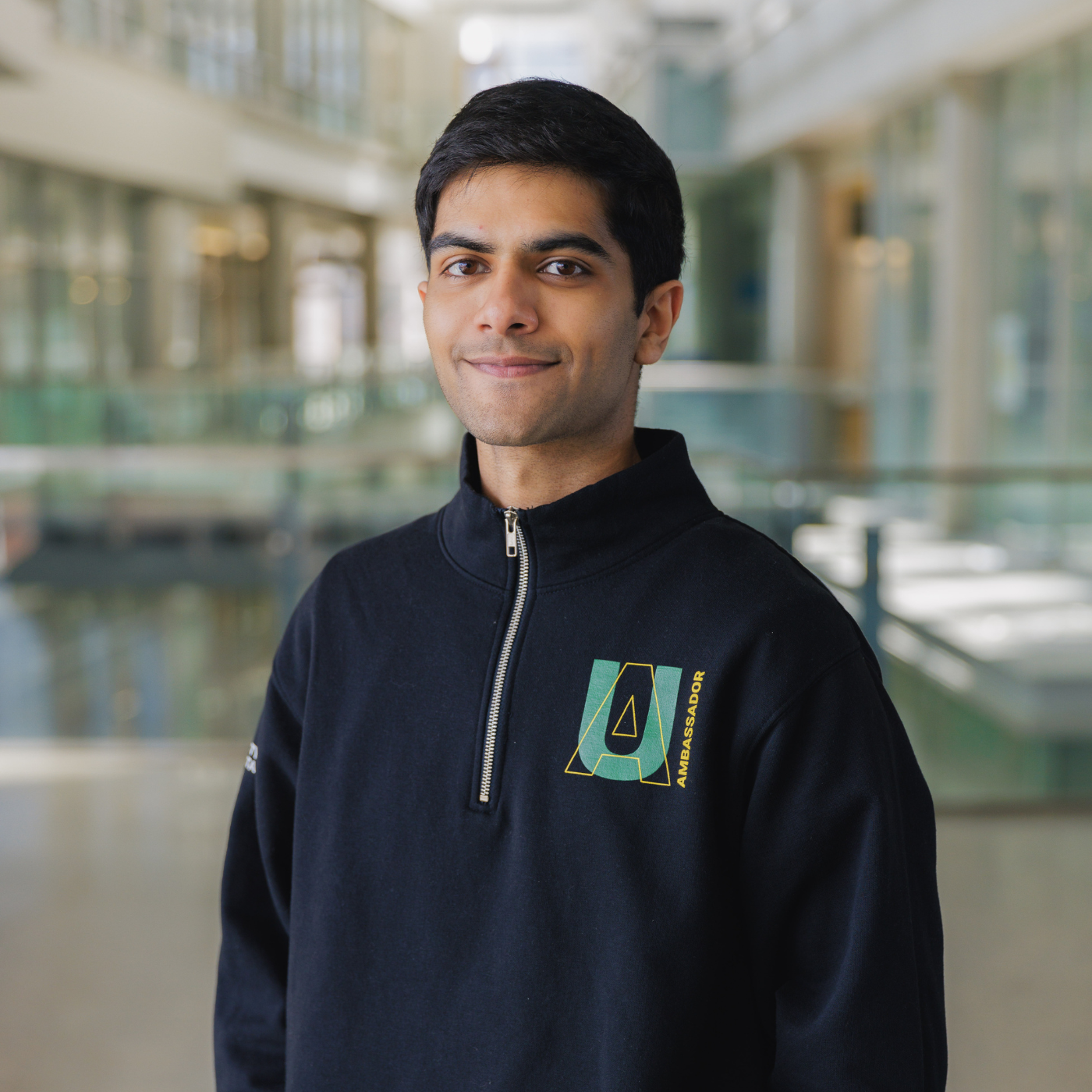Ambassador Abhay