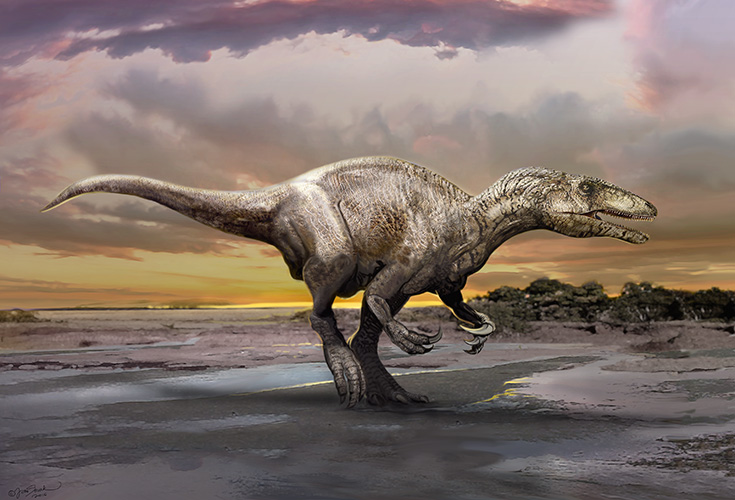 Illustration of Murusraptor barrosaensis by Jan Sovak